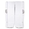 Brian's NetZero 2 Intermediate Goalie Leg Pads