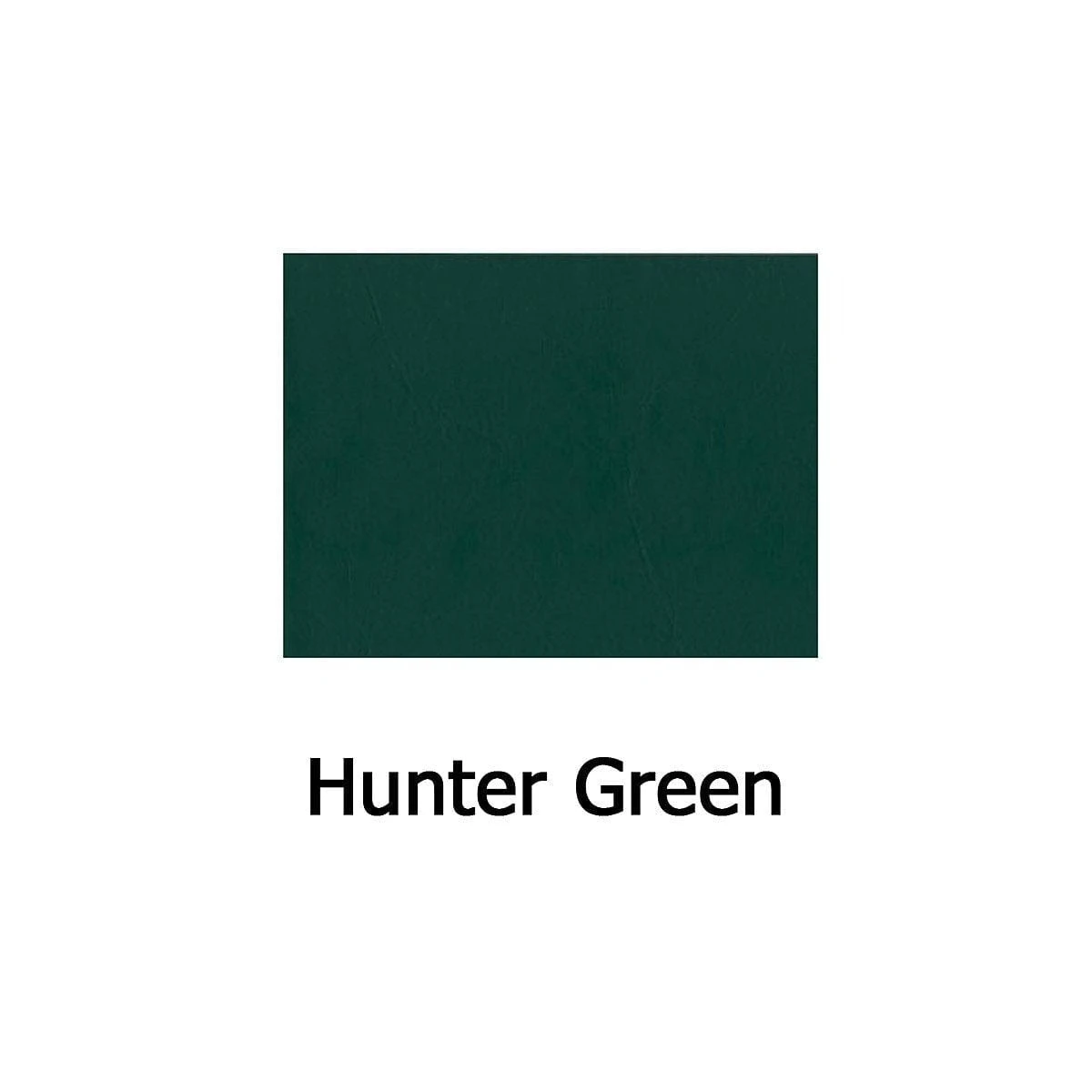 Pad Skinz - Large - Image 4